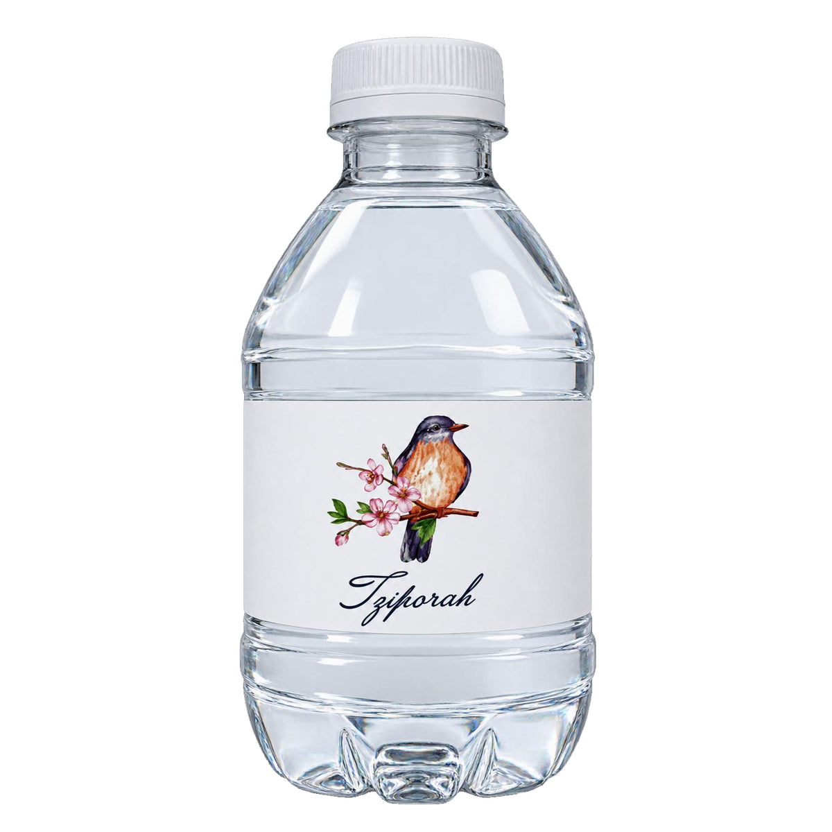 WATER BOTTLE BIRD