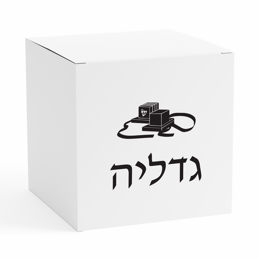 BAR MITZVAH CLASSIC TEFILLIN PEKALAH